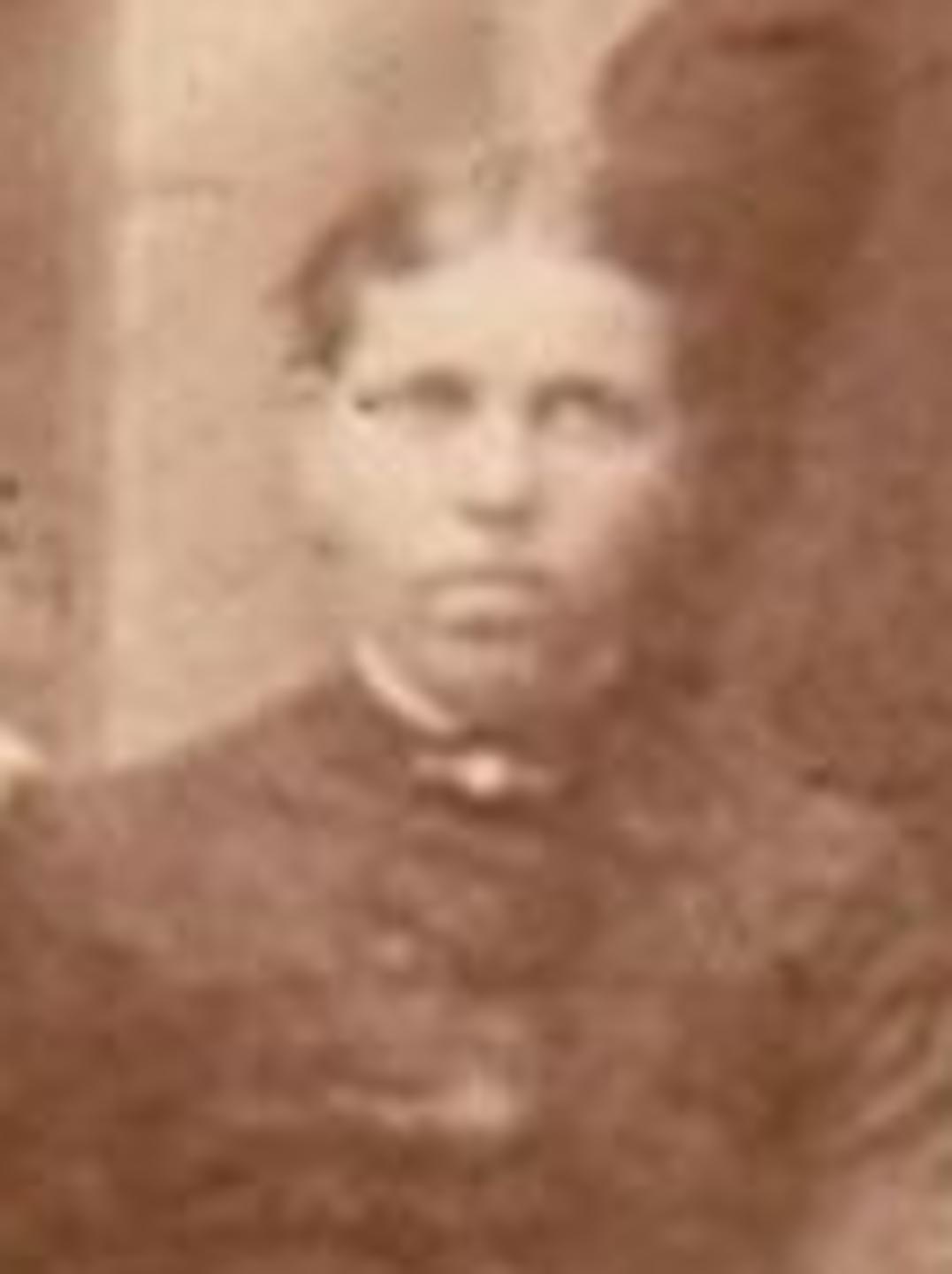 Elizabeth Gill (1852 - 1951) Profile
